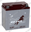 Мотоаккумулятор HUSKY 14-16E1 (CT 1214, YTX14-BS) Мотоаккумулятор HUSKY 14-16E1 (CT 1214, YTX14-BS)