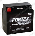 Fortex VRLA 1210 (12N9-3B) Fortex VRLA 1210 (12N9-3B)